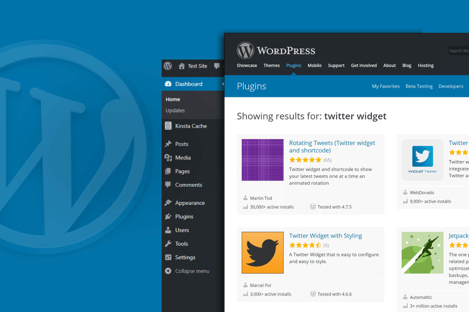 wordpress plugin development